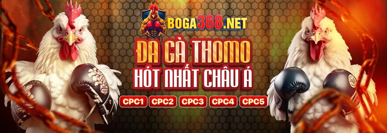 Các Trò Chơi Sòng Bạc Đa Dạng tại Nhất Vip Game Bài
